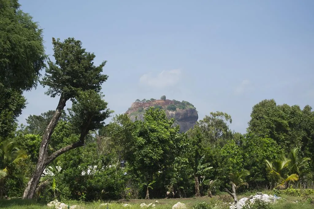 Shady Mango Villa Sigiriya 0*,