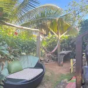 https://villa-rasta-ocean-view-bungalows.comcaribbean.com